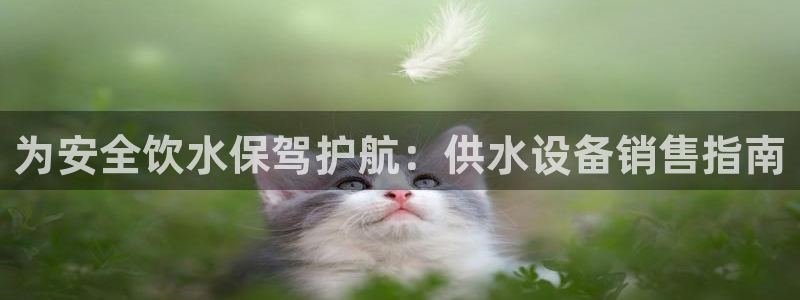 球友会的会字是哪个会
