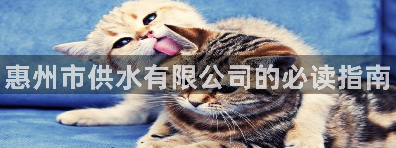 球友会app官网下载安装