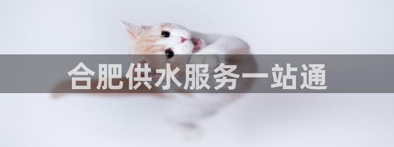 关键词