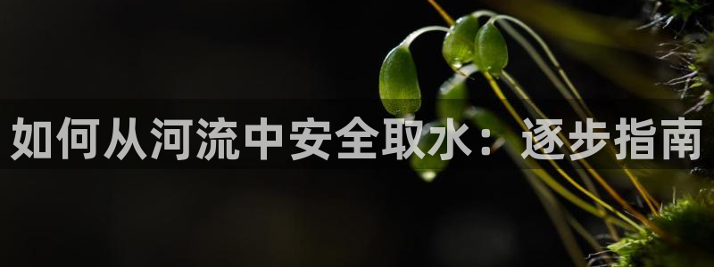 球友会登陆