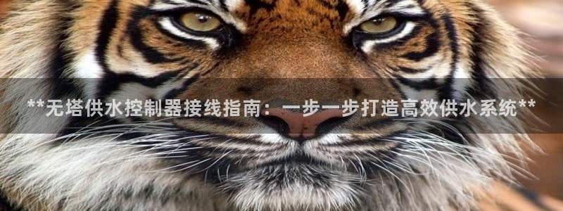 球友会聚餐发言简短