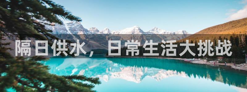 球友会app干啥的呀
