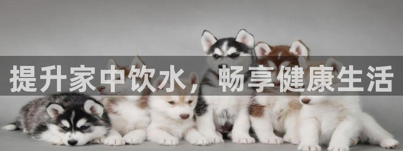 球友会体育app下载安卓版