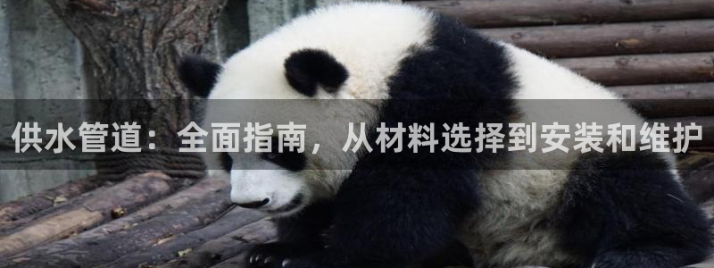 球友会友谊赛赛程赛果