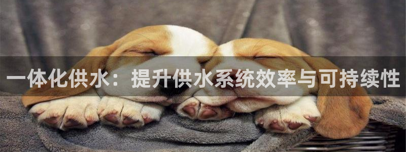 球友会app官方网站下载