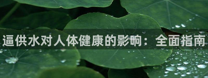 球友会联赛