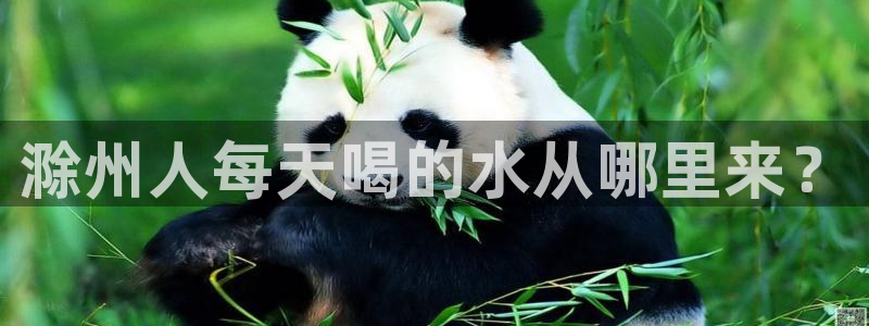 球友会官方网站下载
