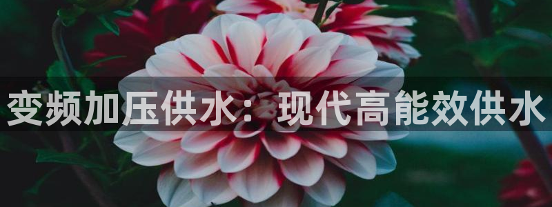 球友会app网址