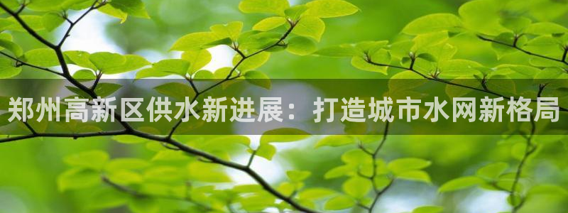 球友会友谊赛赛程赛果