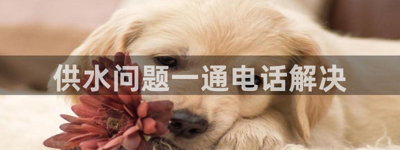 球友会qyh88bet