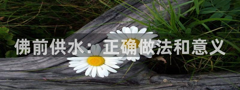 球友会英文怎么说呢翻译