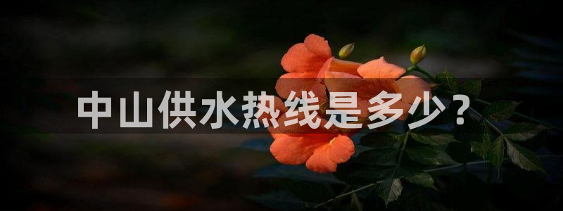 球友会友谊赛赛程赛果
