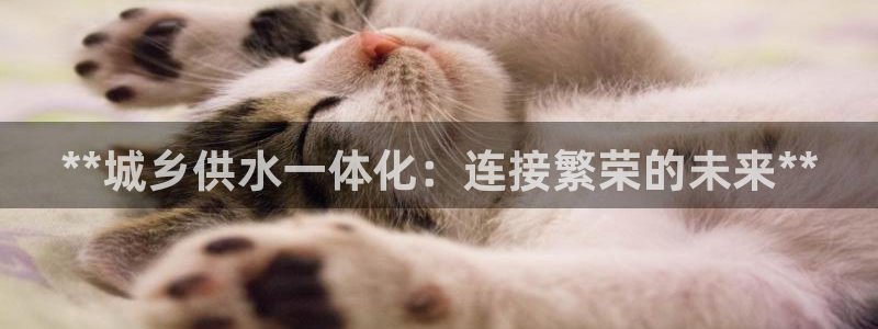 qy球友会体育官方平台
