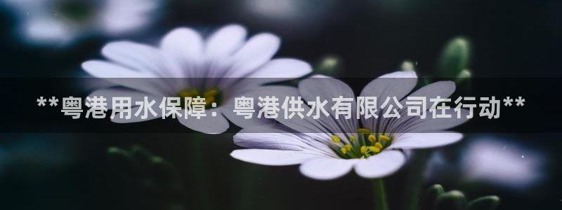 球友会app官方网站下载