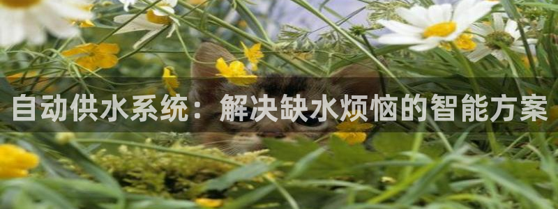球友会拼音