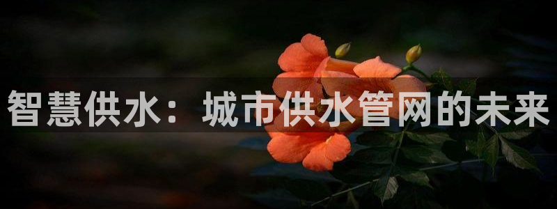 球友会比赛结果查询网站