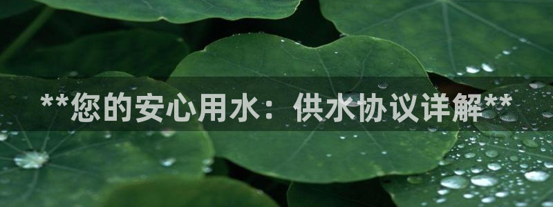 球友会app干啥的呀