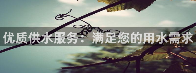 球友会比赛结果查询系统