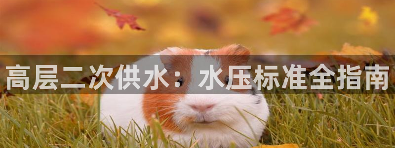 球友会体育app下载安卓版