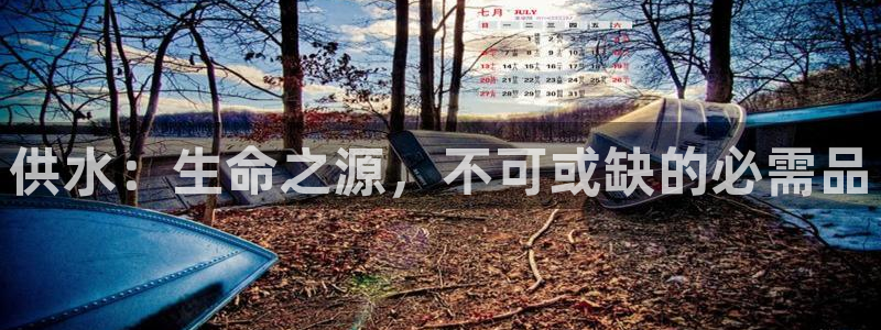 球友会是不是大平台