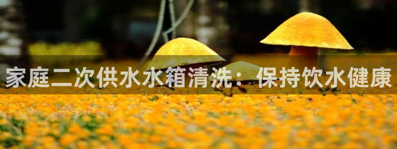 球友会app干啥的呀