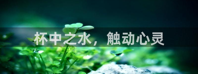 球友会app干啥的软件