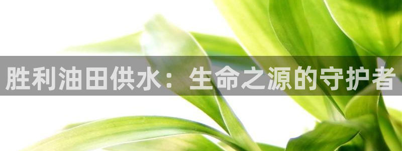 球友会台球俱乐部