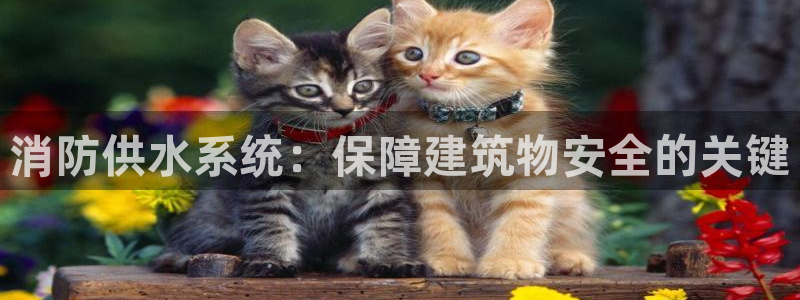 球友会qy怎么进不去
