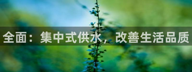 球友会比赛结果查询