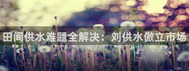 球友会qy