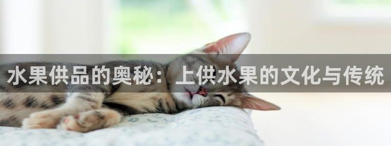 球友会官网入口网址