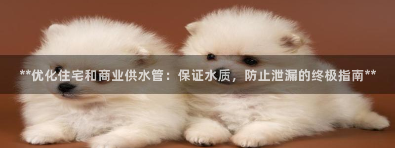 球友会友谊赛赛程赛果