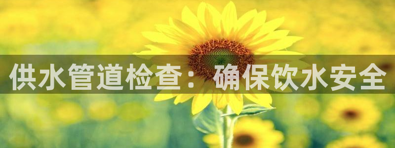 球友会体育app下载