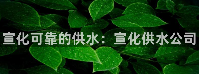球友会体育app下载安卓