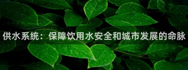 QY球友会官网