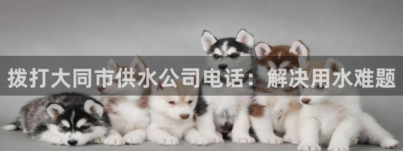 球友会是不是大平台