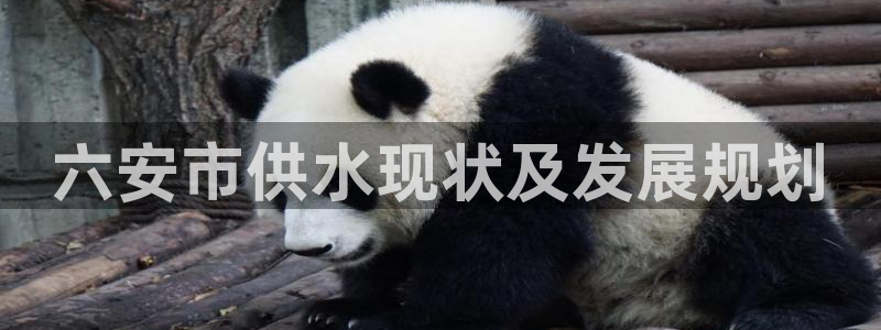 球友会体育app下载安卓手机