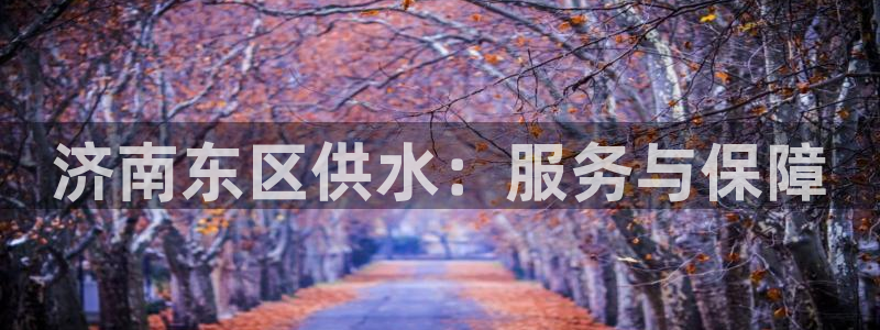 qy球友会体育