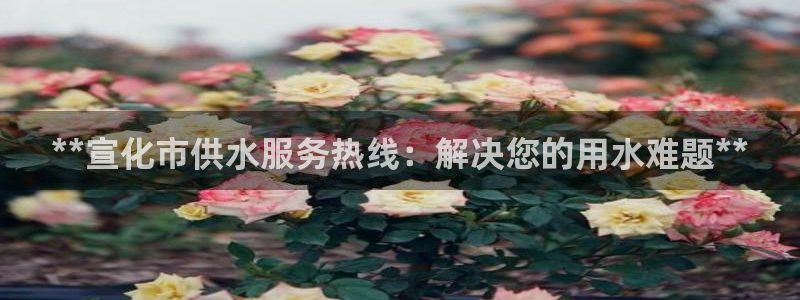 球友会曼联赛事