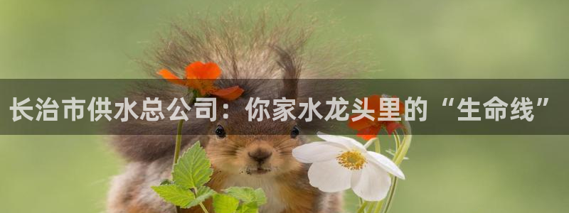 球友会体育app官方版下载安装最新