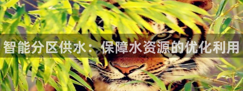 球友会地址