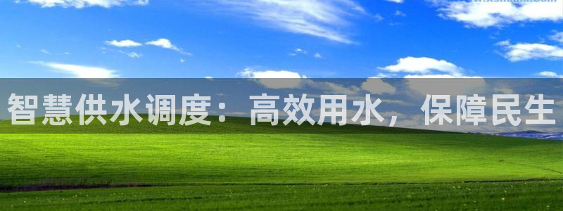 QY球友会体育官网