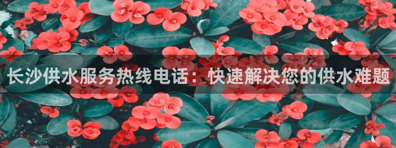 球友会apy