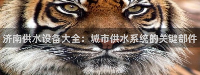 球友会app下载QY