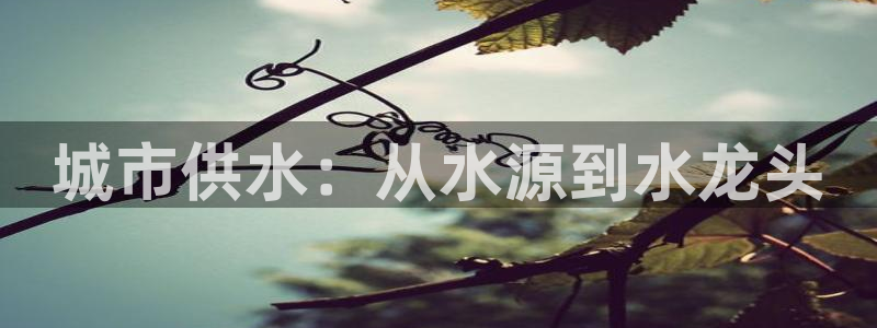QY球友会体育官网