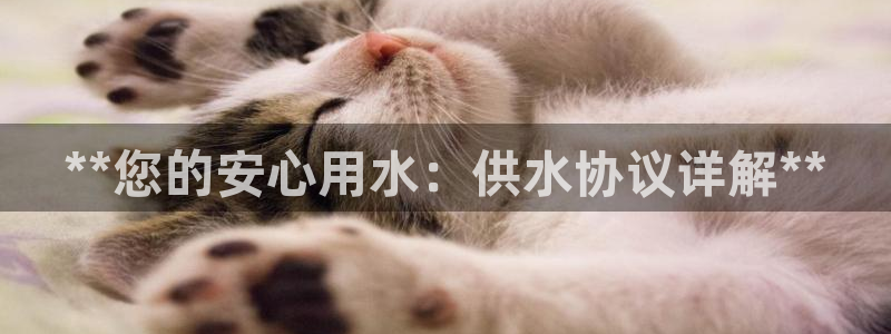 球友会App