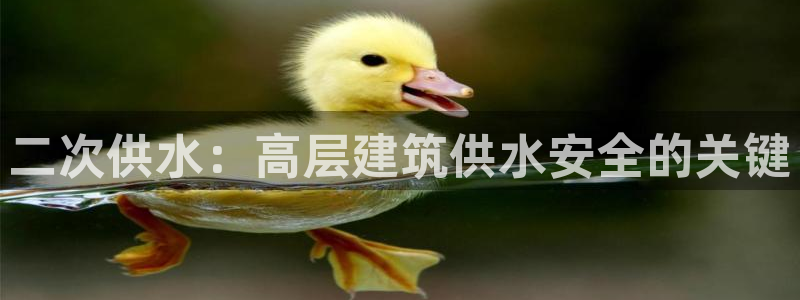 球友会聚餐发言稿简短