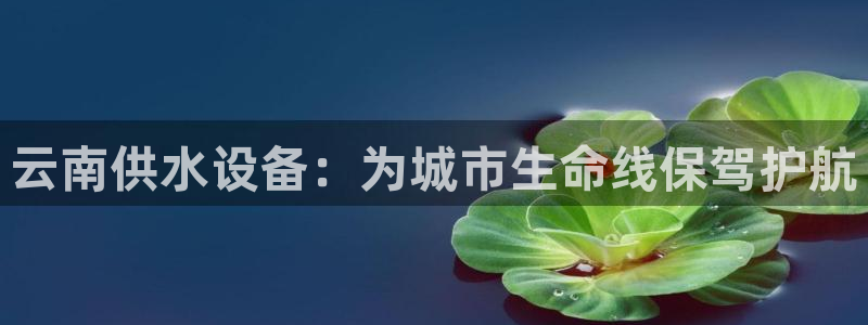 球友会app官方网站入口