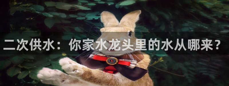 球友会台球俱乐部官网