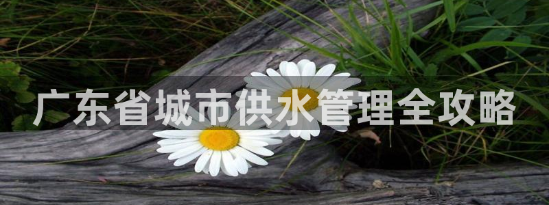 关键词